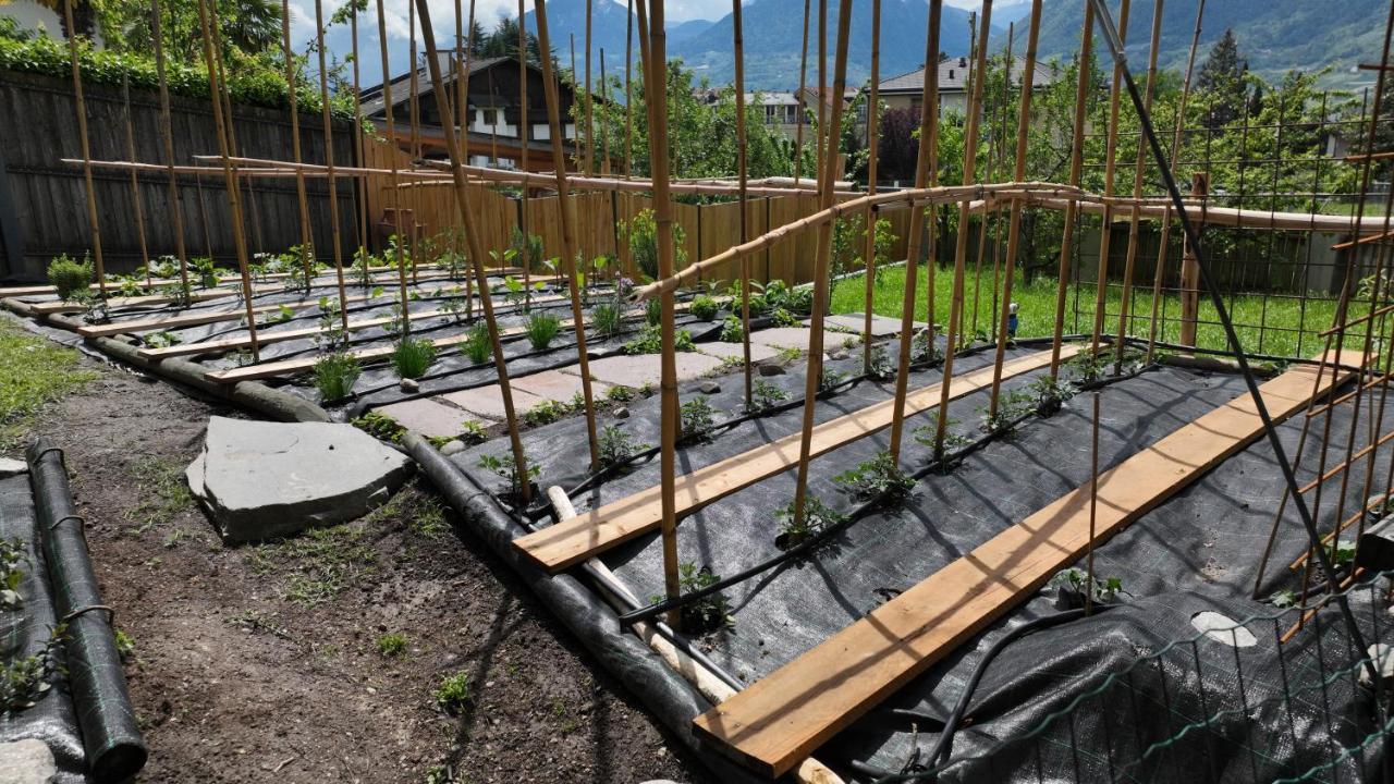 Nora S Home 2 - Panoramic Terrace & Bio Garden Merano Luaran gambar