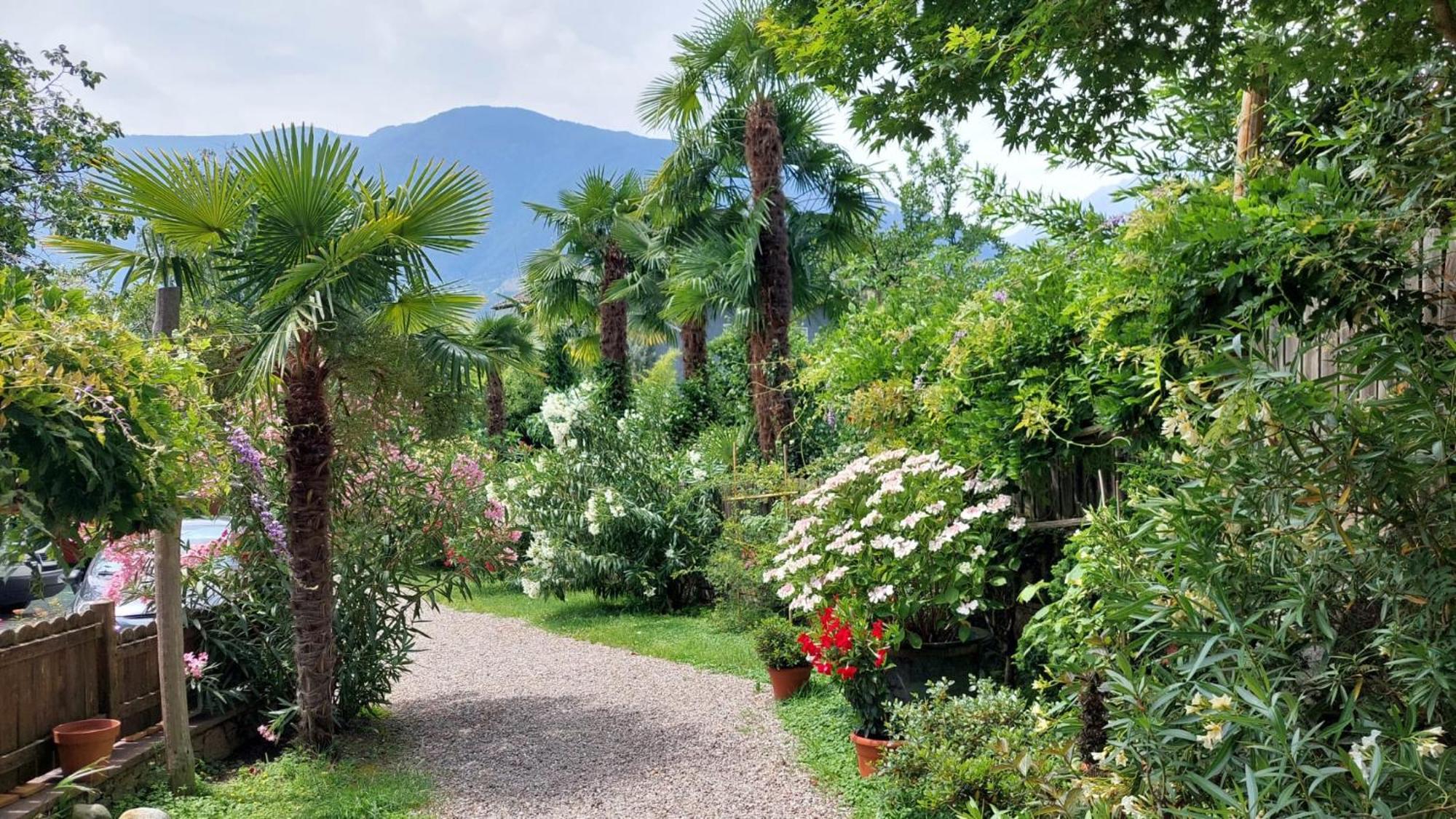 Nora S Home 2 - Panoramic Terrace & Bio Garden Merano Luaran gambar